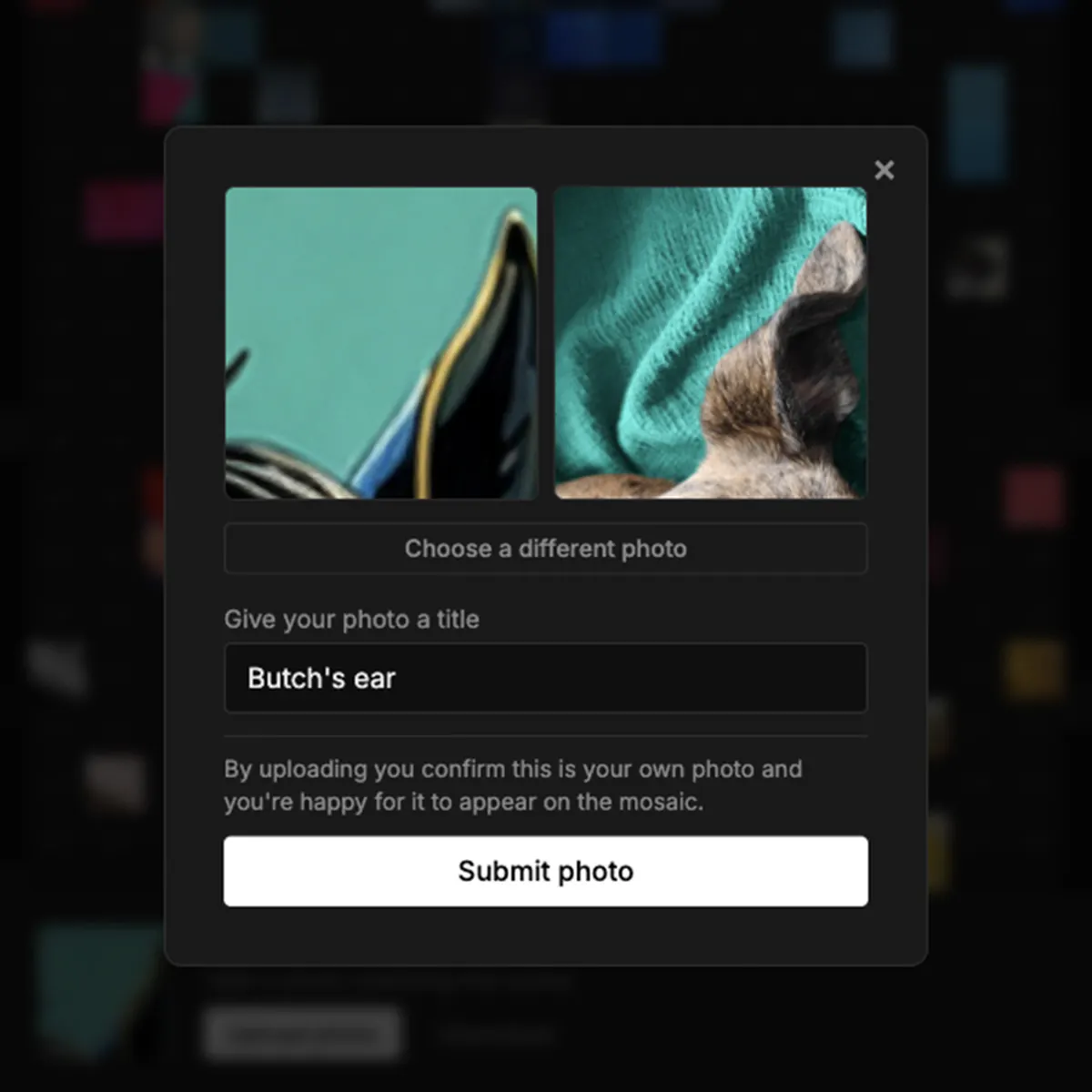 Claim modal showing a square from the source image